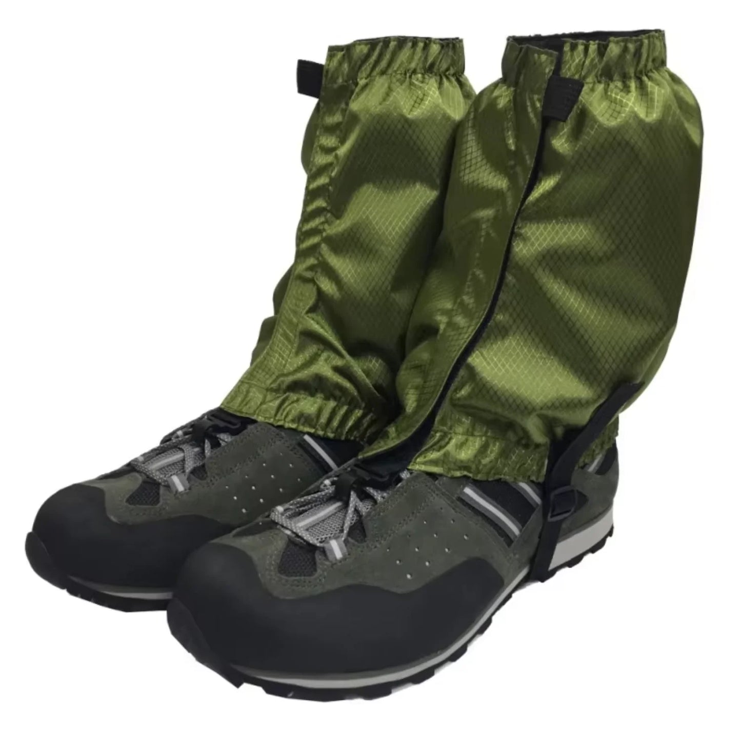 Swamp Shoes Bridge Cover